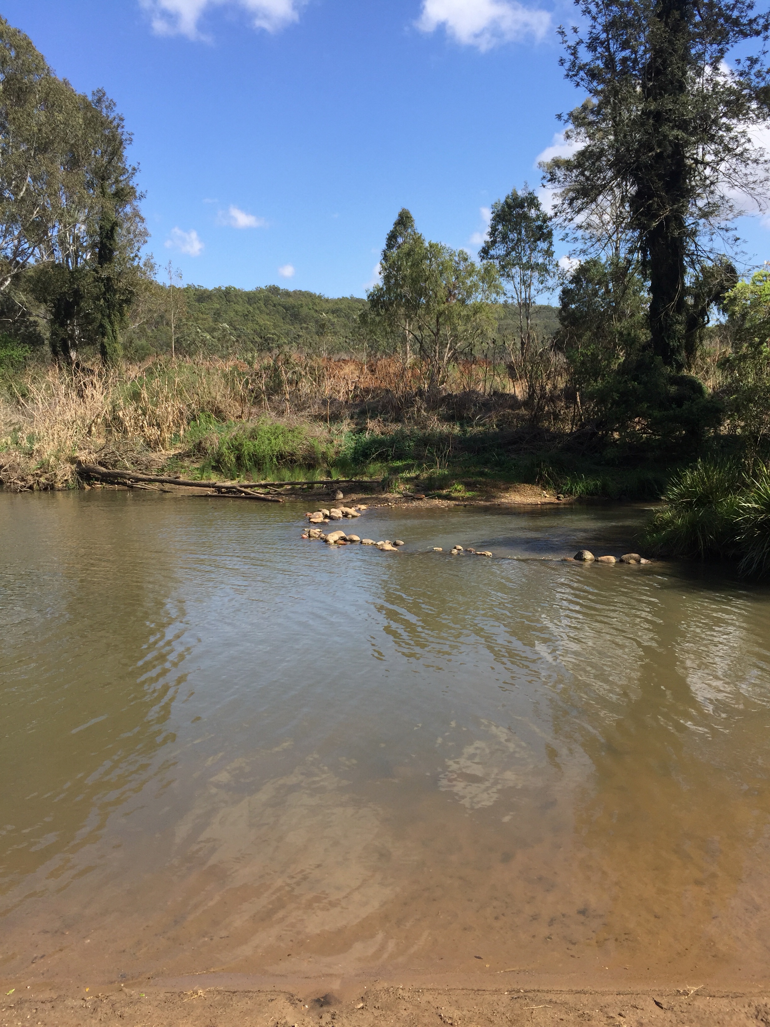 Bigriggen school holiday camping – Mumma, Did You Know?