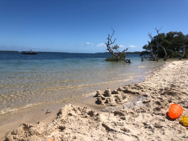 Beach at high tide with clear water and tree in water